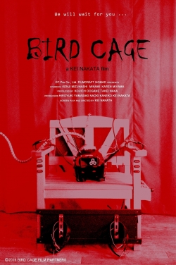 Bird Cage-full