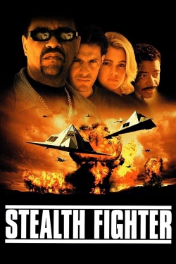 Stealth Fighter-full