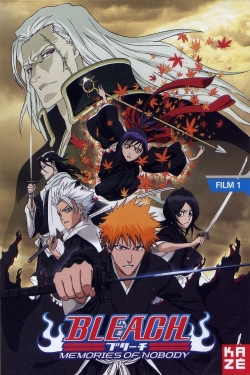 Bleach: Memories of Nobody-full