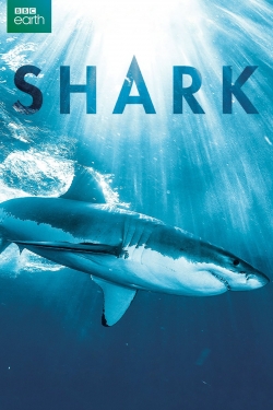 Shark-full