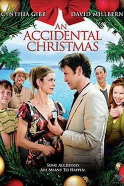 An Accidental Christmas-full