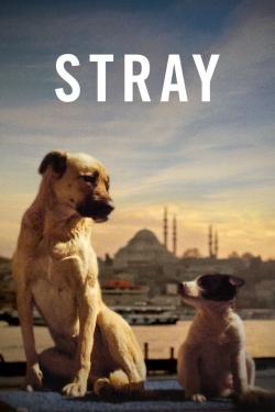 Stray-full