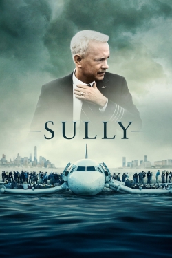 Sully-full