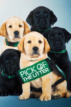 Pick of the Litter-full